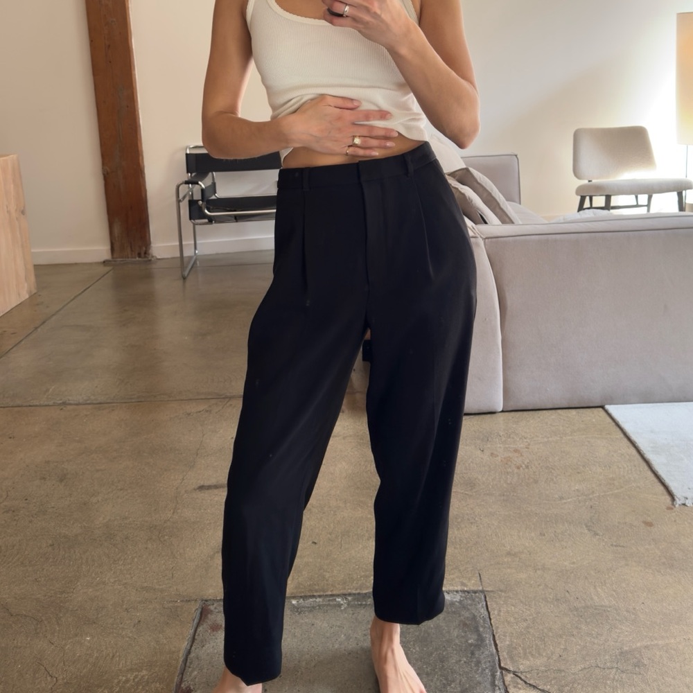 ARITZIA WILFRED TROUSERS
